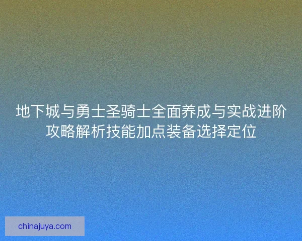地下城与勇士圣骑士全面养成与实战进阶攻略解析技能加点装备选择定位