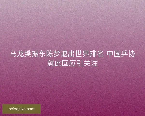 马龙樊振东陈梦退出世界排名 中国乒协就此回应引关注