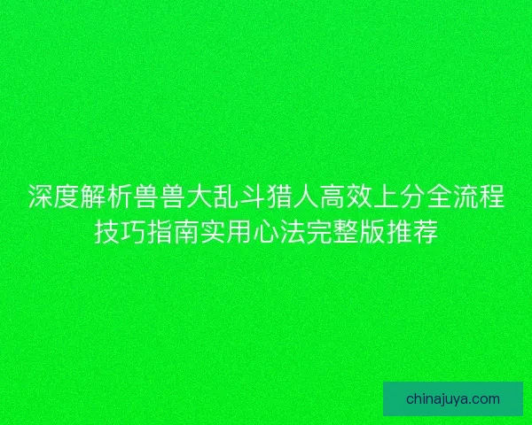 深度解析兽兽大乱斗猎人高效上分全流程技巧指南实用心法完整版推荐